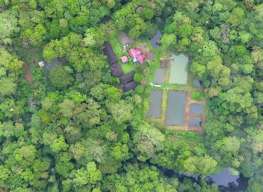 Pengumuman Pemenang Lelang Terbuka Pembangunan Paddock dan Fasilitas Pendukung di Suaka Badak Kelian