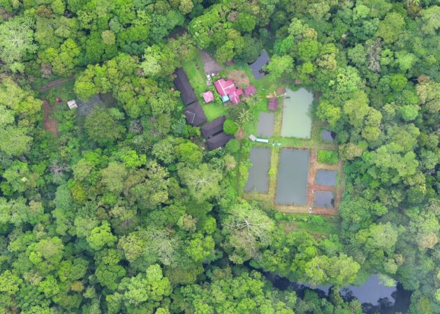 Pengumuman Evaluasi Berkas Tahap Prakualifikasi Lelang Terbuka Pembangunan Paddock dan Fasilitas Pendukungnya di Suaka Badak Kelian